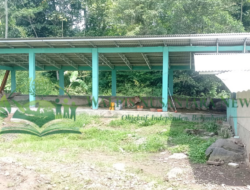 Bantuan Sapi Program UPPO di Desa Cikadu Raib Setengah, Negara Dirugikan? APH Diminta Bertindak