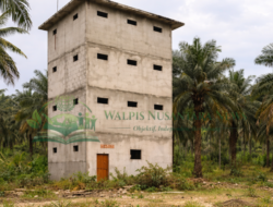 Diduga Kuasai 142 Hektare Hutan Produksi di Asahan, Pengusaha Disorot Aparat Penegak Hukum