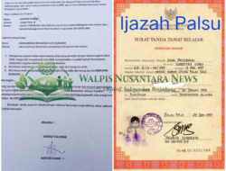 Laporan Dugaan Ijazah Kades Balohao Dilayangkan Sejak April 2025, Perkembangannya Dipertanyakan