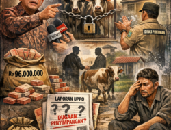 Dana UPPO Rp96 Juta Disorot, Anggota DPRD Tasikmalaya Akui Sapi “Dititipkan”: Dalih Ketidaksiapan Kelompok atau Lemahnya Peran Dinas Pertanian?