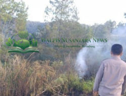 Tiga Hektare Lahan Pertanian Terbakar di Sumatera Utara, Polisi Selidiki Penyebab Kebakaran di Dolok Pardamean