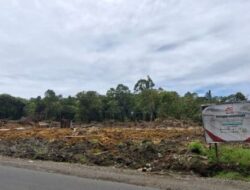 Lahan Masuk Kawasan Hutan, Aktivitas Koperasi Merah Putih di Dairi Dihentikan