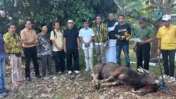 Iduladha 1447 H, DPD Partai Golkar Kabupaten Tasikmalaya Bagikan Daging Kurban untuk Masyarakat