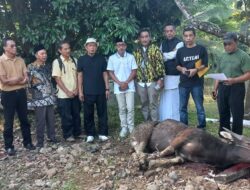 Iduladha 1447 H, DPD Partai Golkar Kabupaten Tasikmalaya Bagikan Daging Kurban untuk Masyarakat